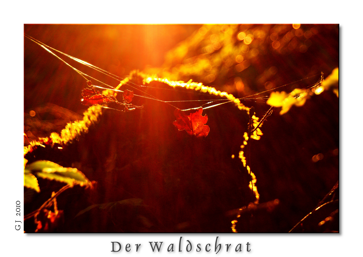 Der Waldschrat