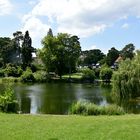 Der Waldsee - ein schöner Anblick vom Haus ...