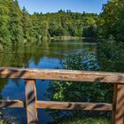 Der Waldsee im Taunus 