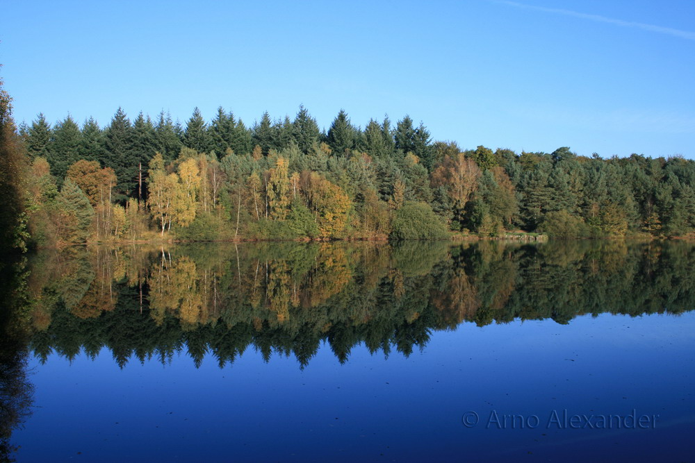 Der Waldsee in Varel Obenstrohe