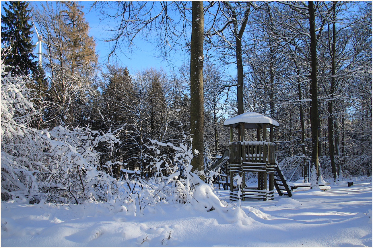 DER WALDSPIELPLATZ -2-