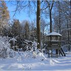 DER WALDSPIELPLATZ -2-