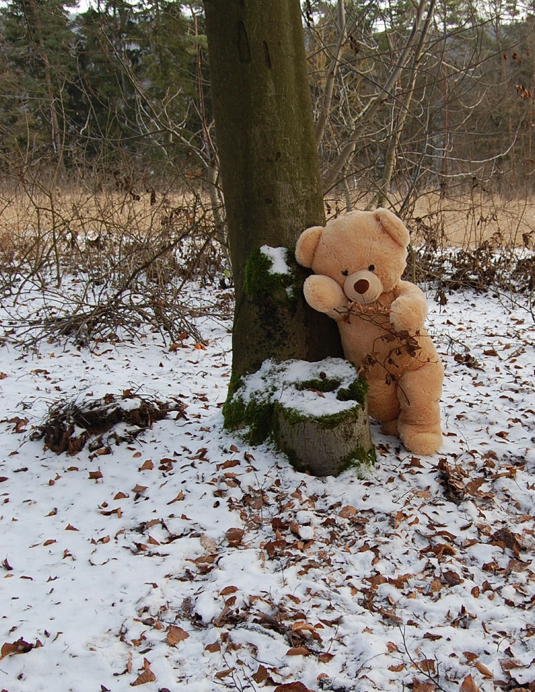 Der Waldspielplatz