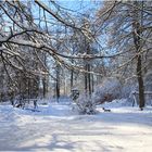 DER WALDSPIELPLATZ ...