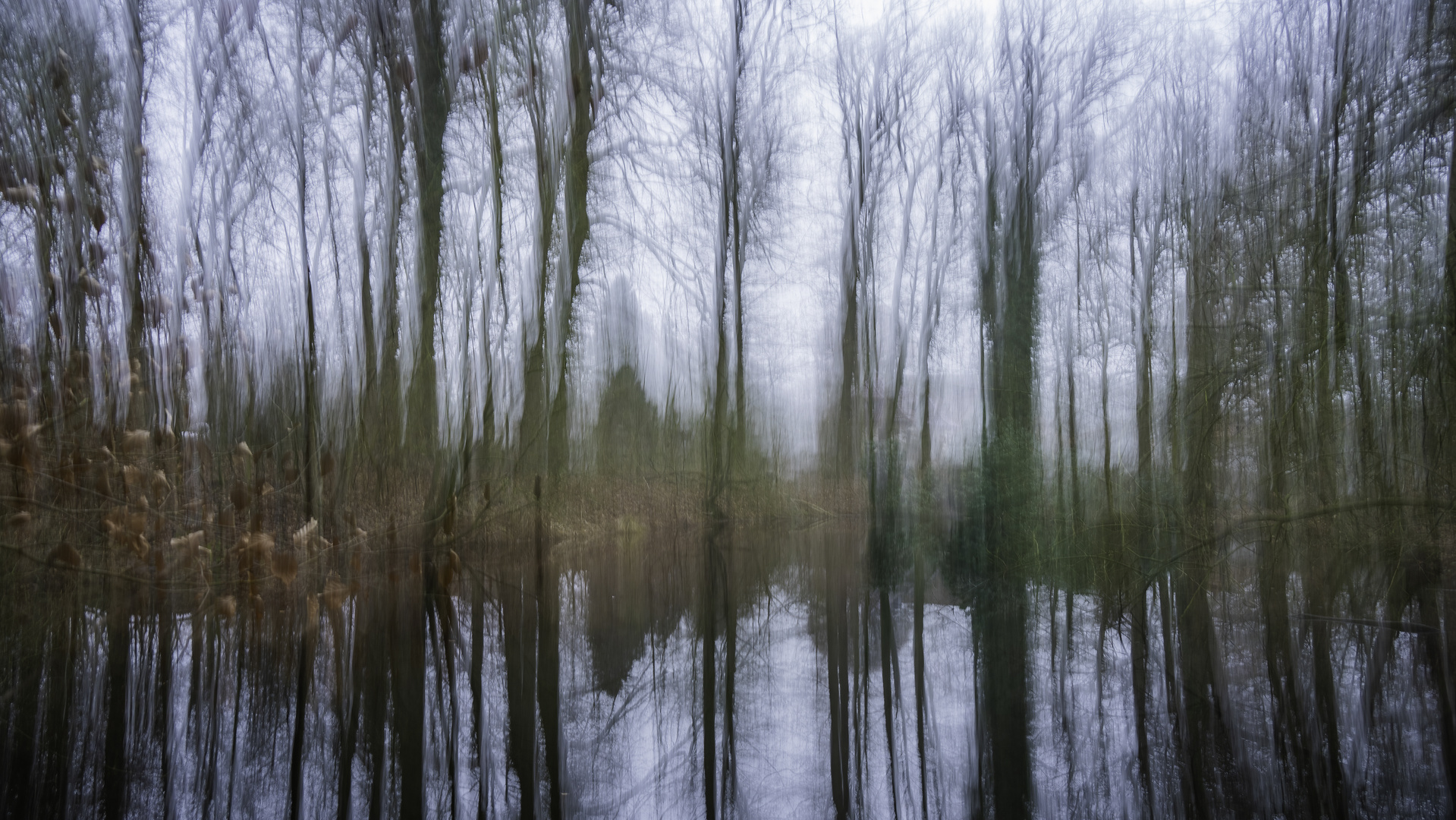 Der Waldteich (ICM)