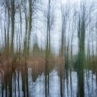 Der Waldteich (ICM)