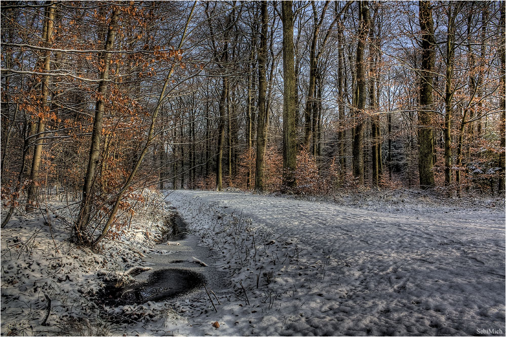 Der Waldweg