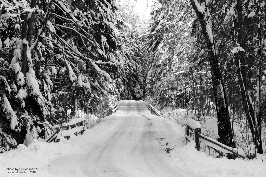 Der Waldweg im Wintergewand