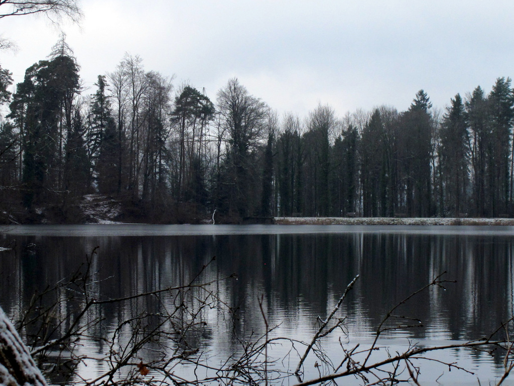 der Waldweiher ...