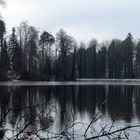 der Waldweiher ...