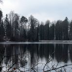 der Waldweiher ...