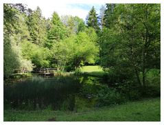 Der Waldweiher im Tätsch, Ottenberg