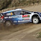 Der walisische Bauer Elfyn Evans