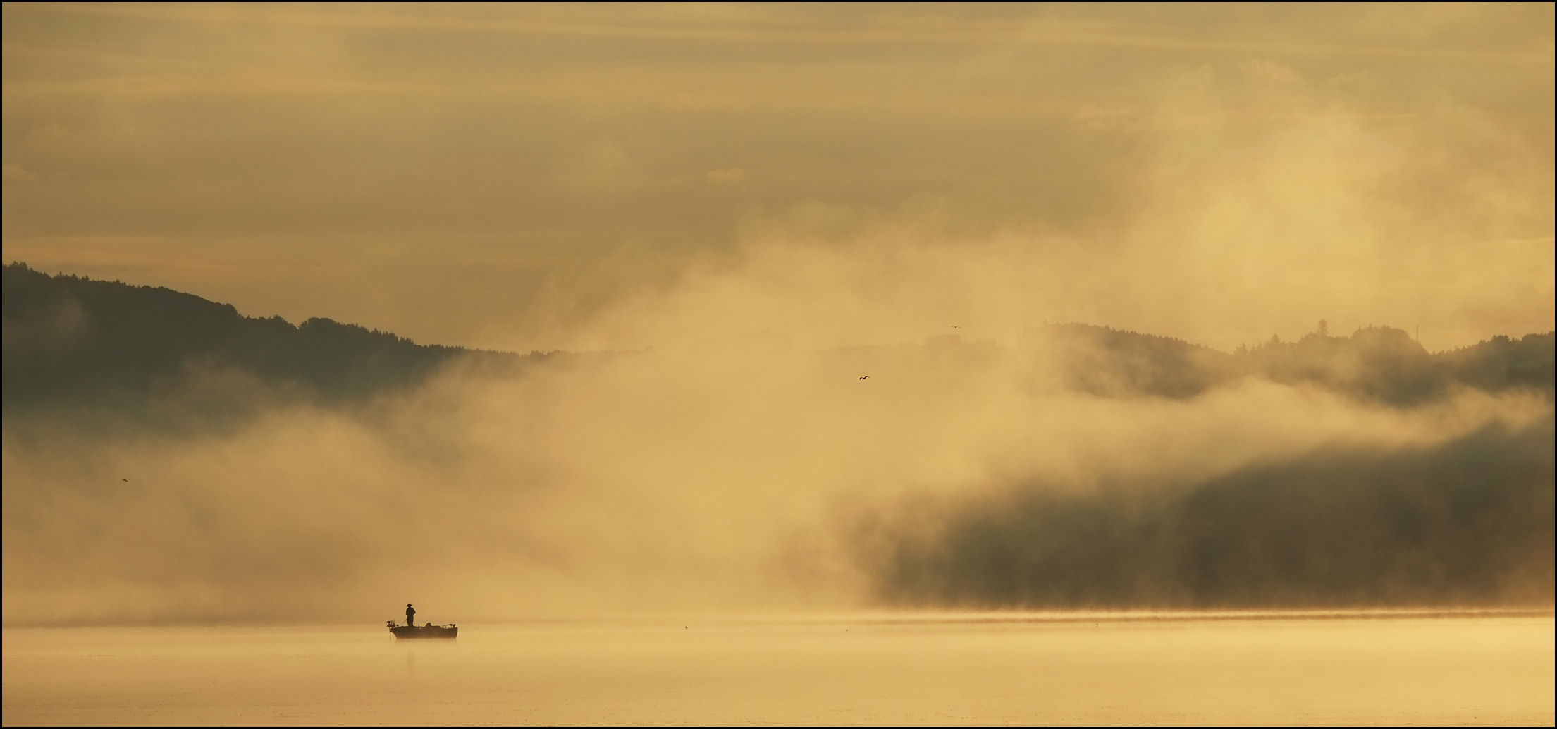 Der Wallersee im Morgenlicht.