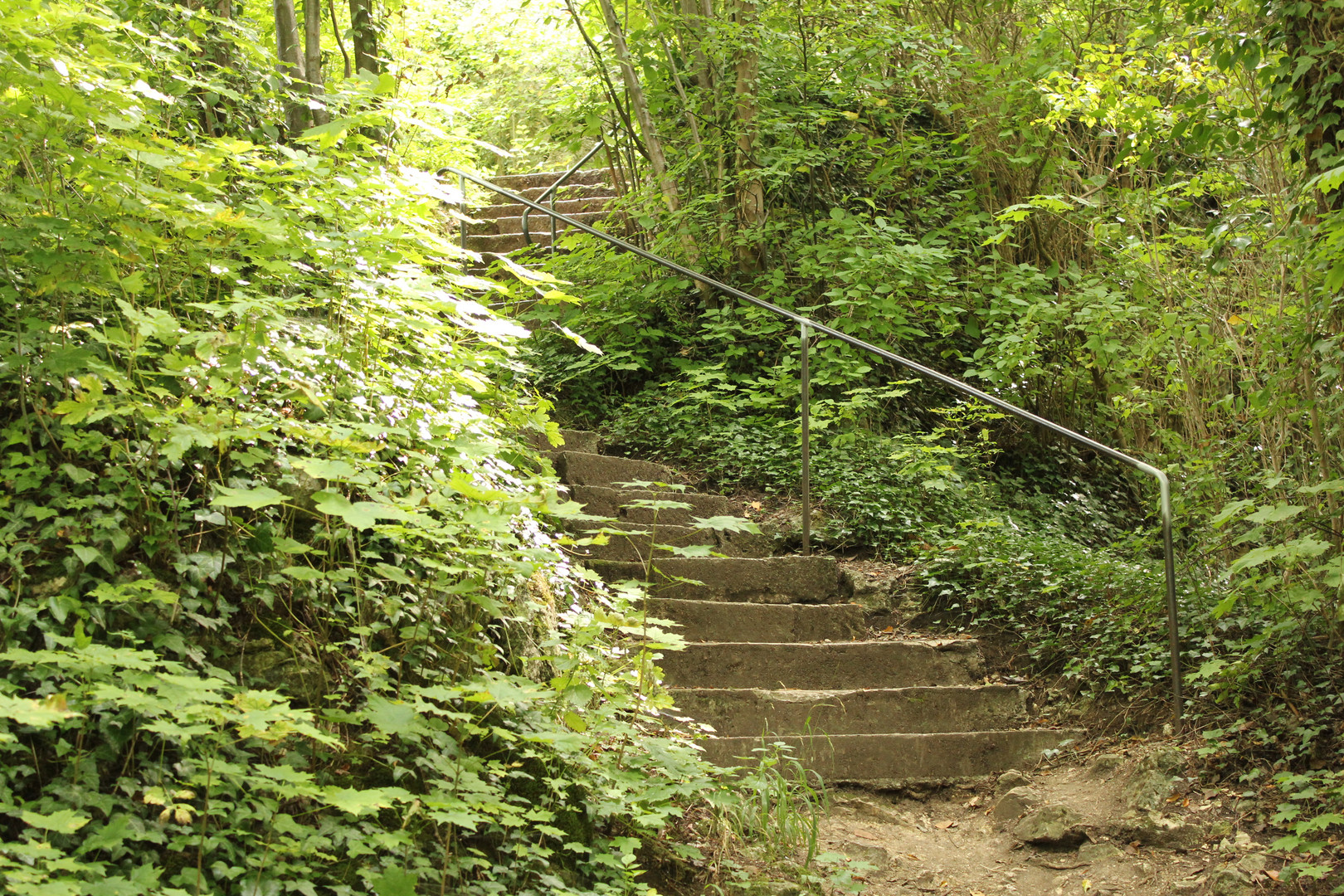 Der Wallersteiner Felsen....