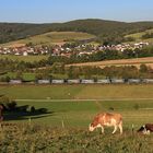 Der "Walter" bei Hermannspiegel ...