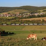 Der "Walter" bei Hermannspiegel ...