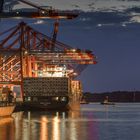 Der Waltershofer Hafen in Hamburg bei Nacht