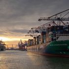 Der Waltershoferhafen in Hamburg bei Sonnenaufgang