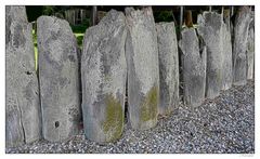 - der Walzahn-Zaun -