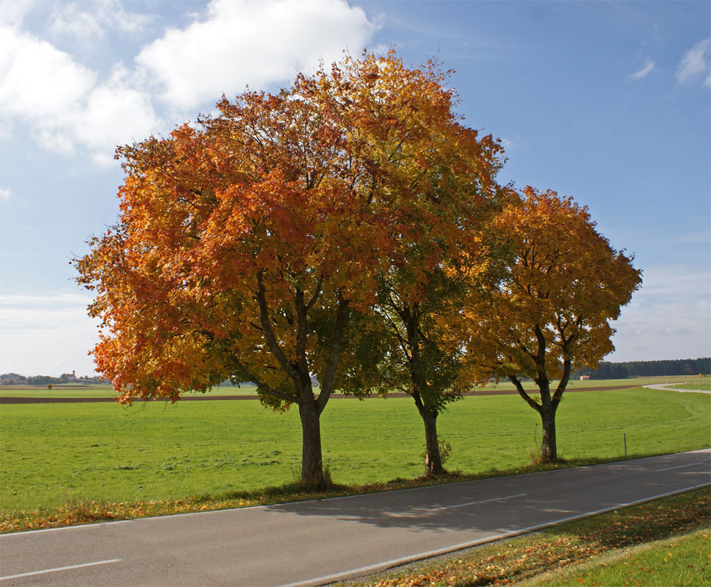 Der Wandel beginnt....