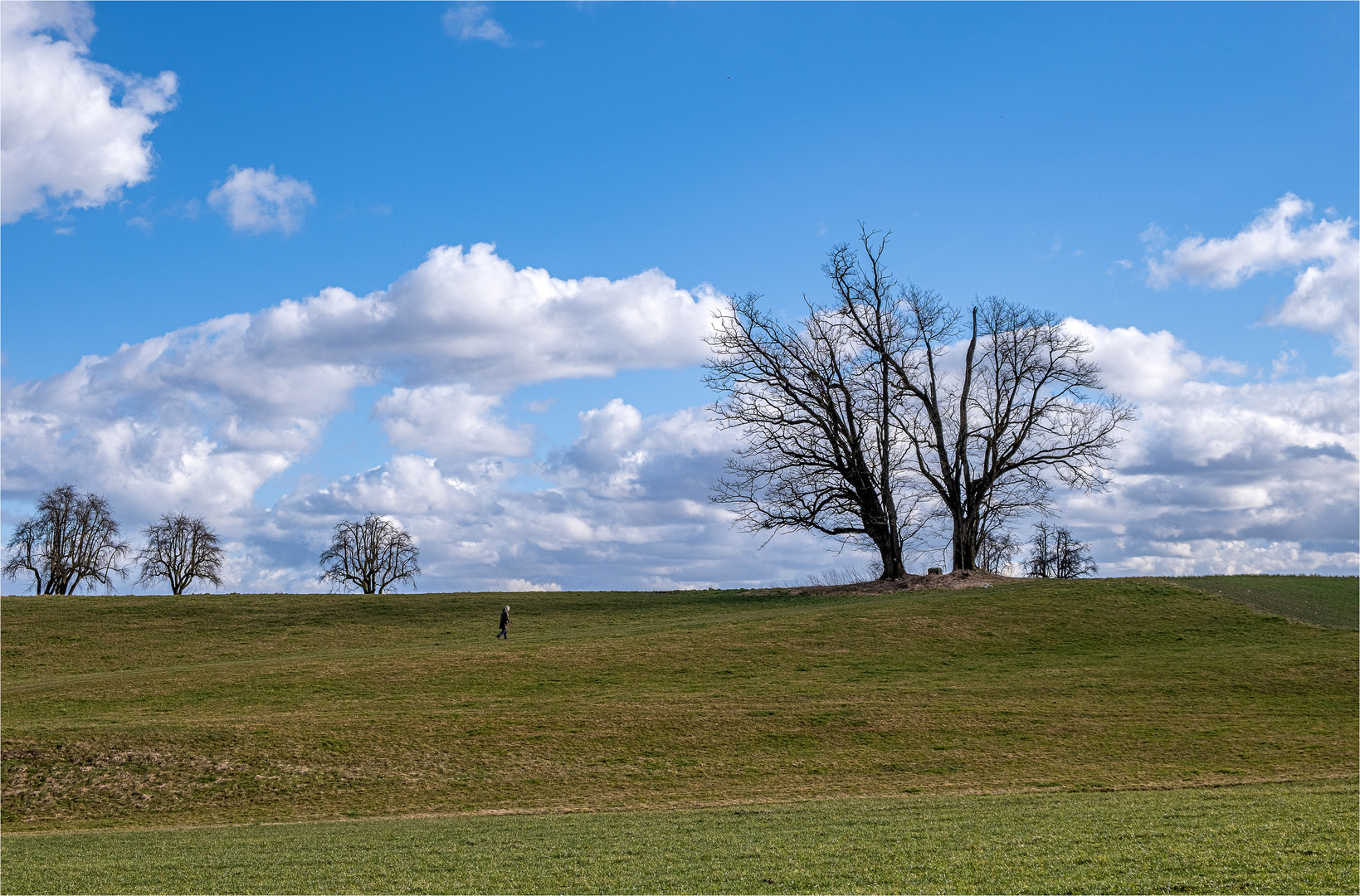 DER WANDERER