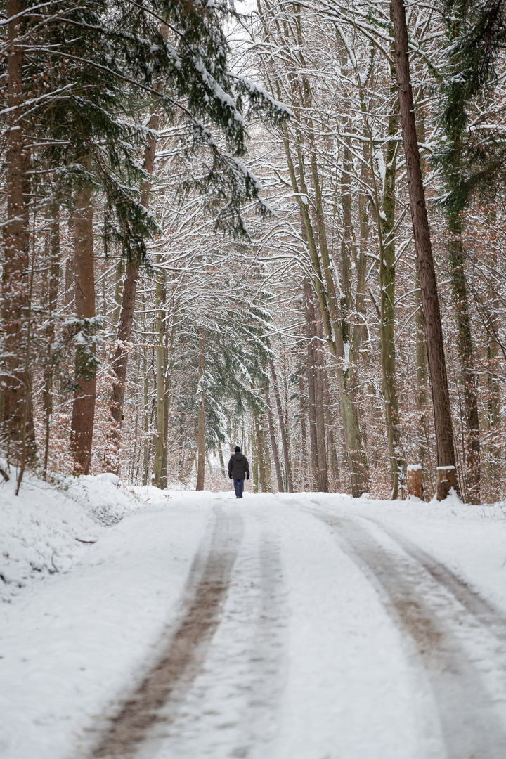 Der Wanderer