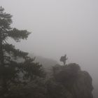 Der Wanderer im Nebelmeer