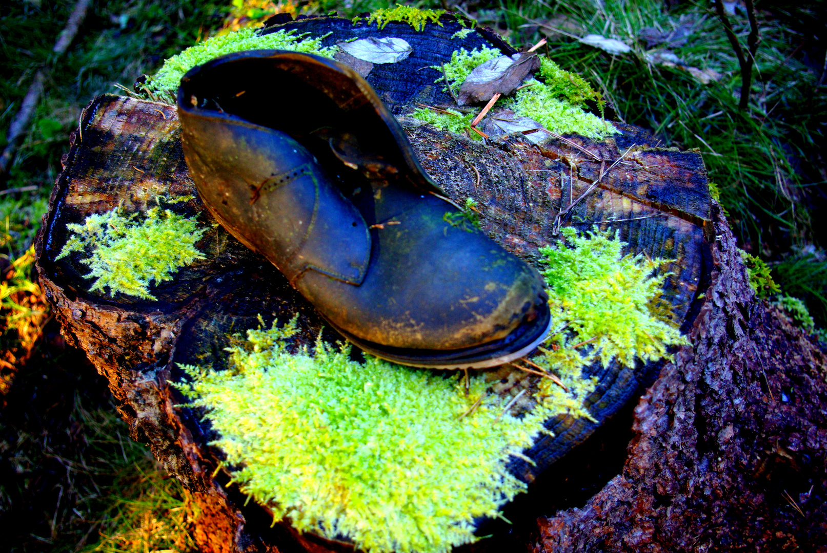 Der Wanderschuh