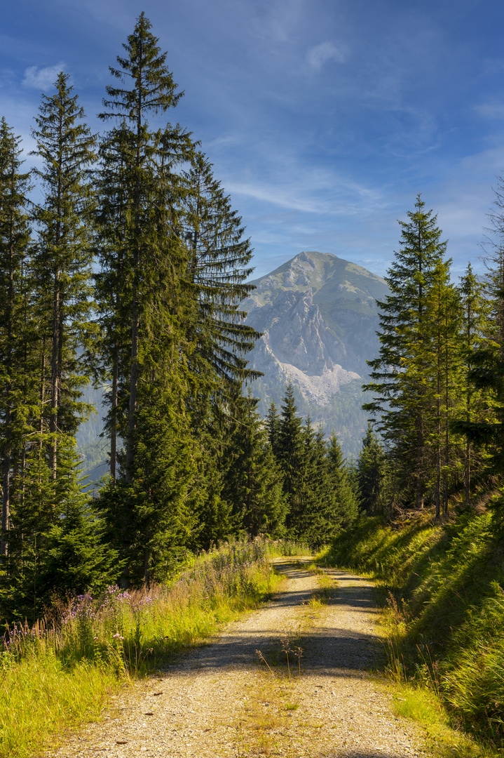 Der Wanderweg...