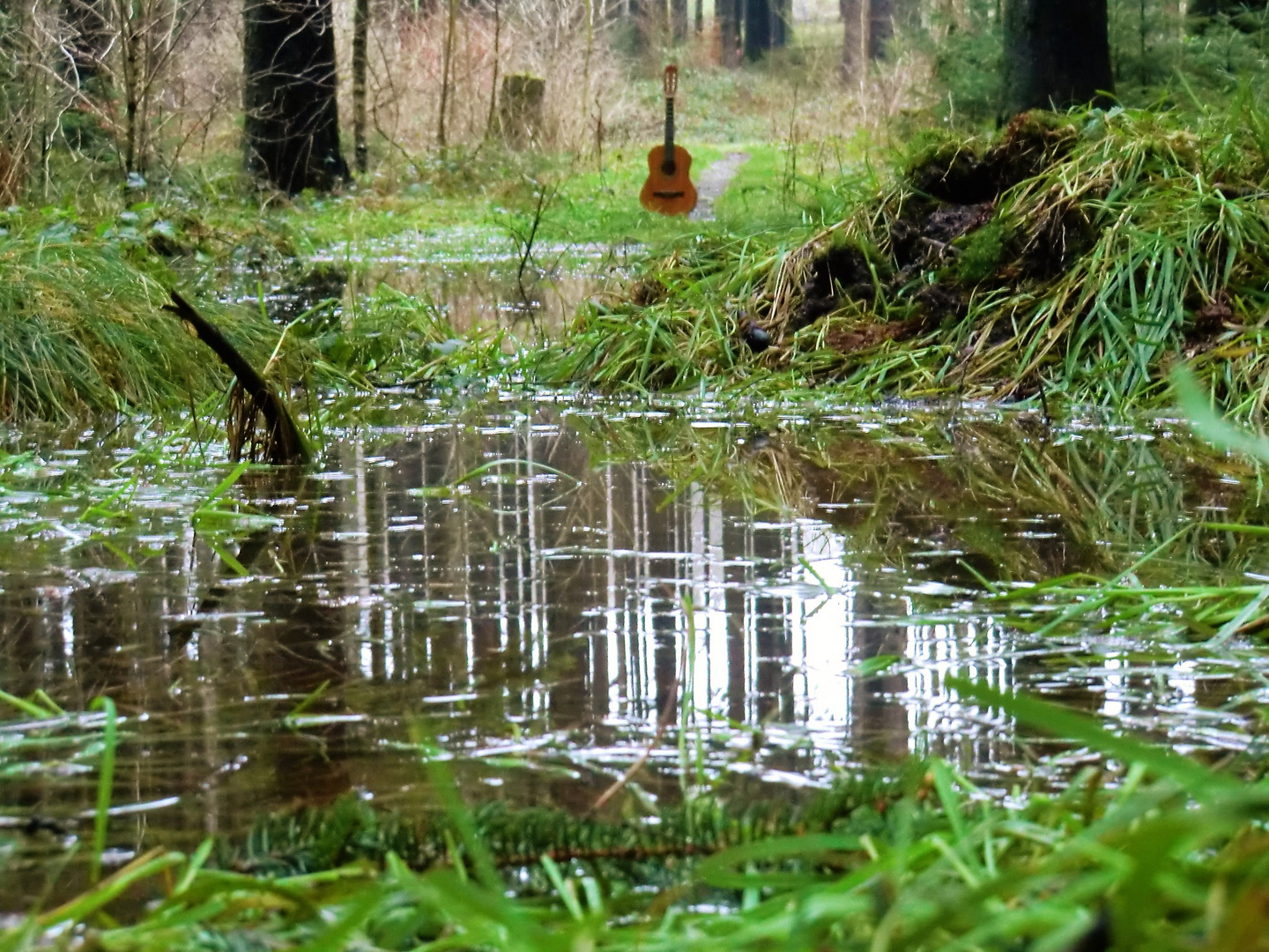 Der Wanderweg...