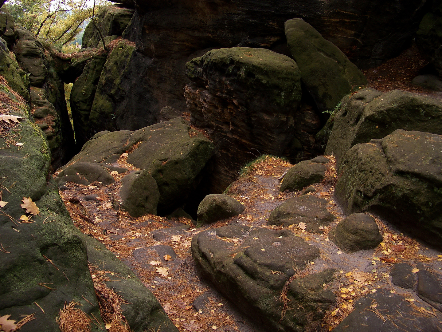 Der Wanderweg