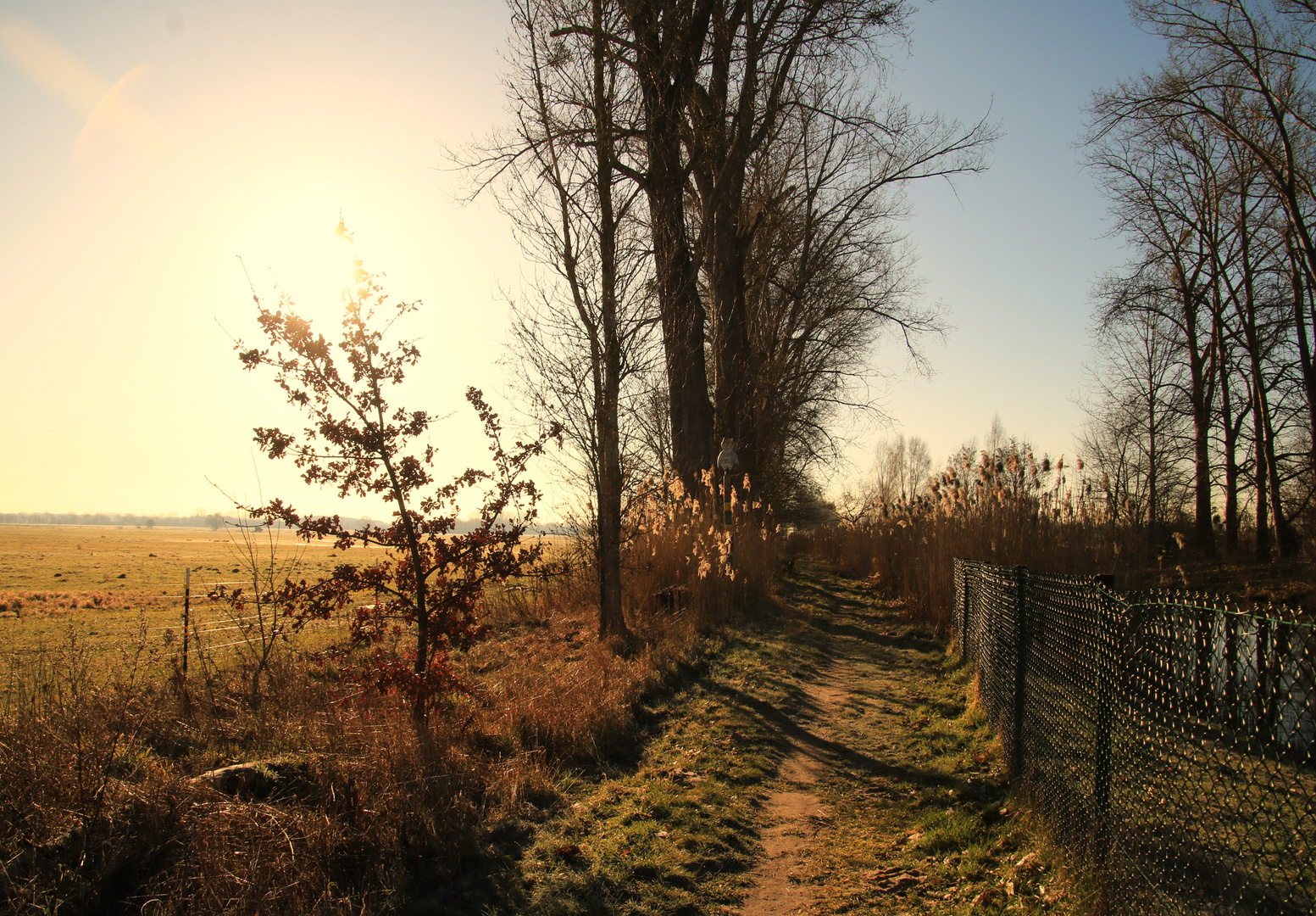 Der Wanderweg 