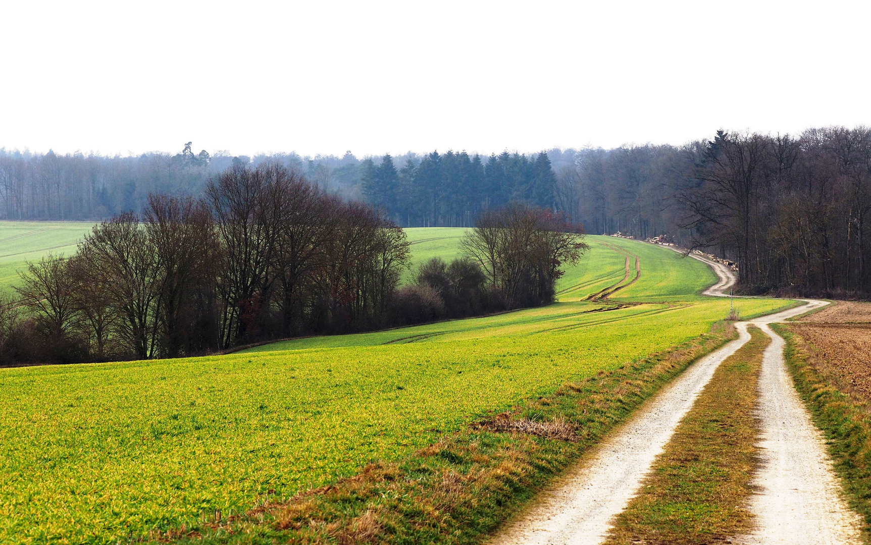 Der Wanderweg