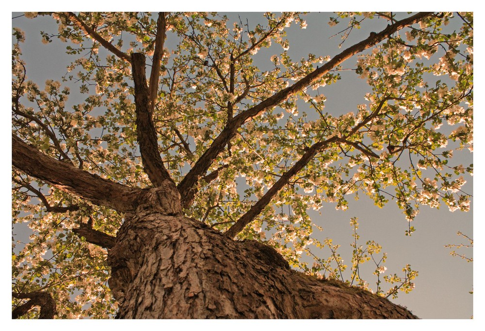 Der warme, weiche Frühling...