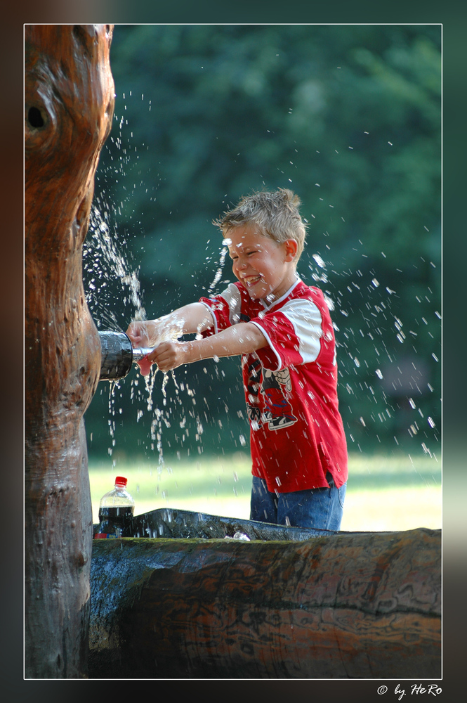 der Wasserbändiger