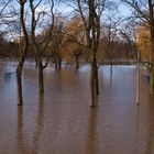 Der Wasserballplatz