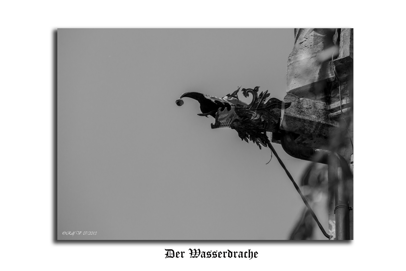 Der Wasserdrache