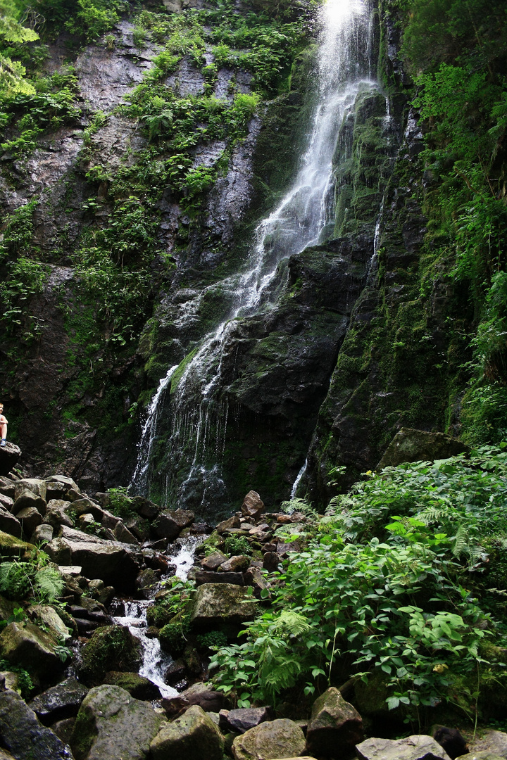 Der Wasserfall