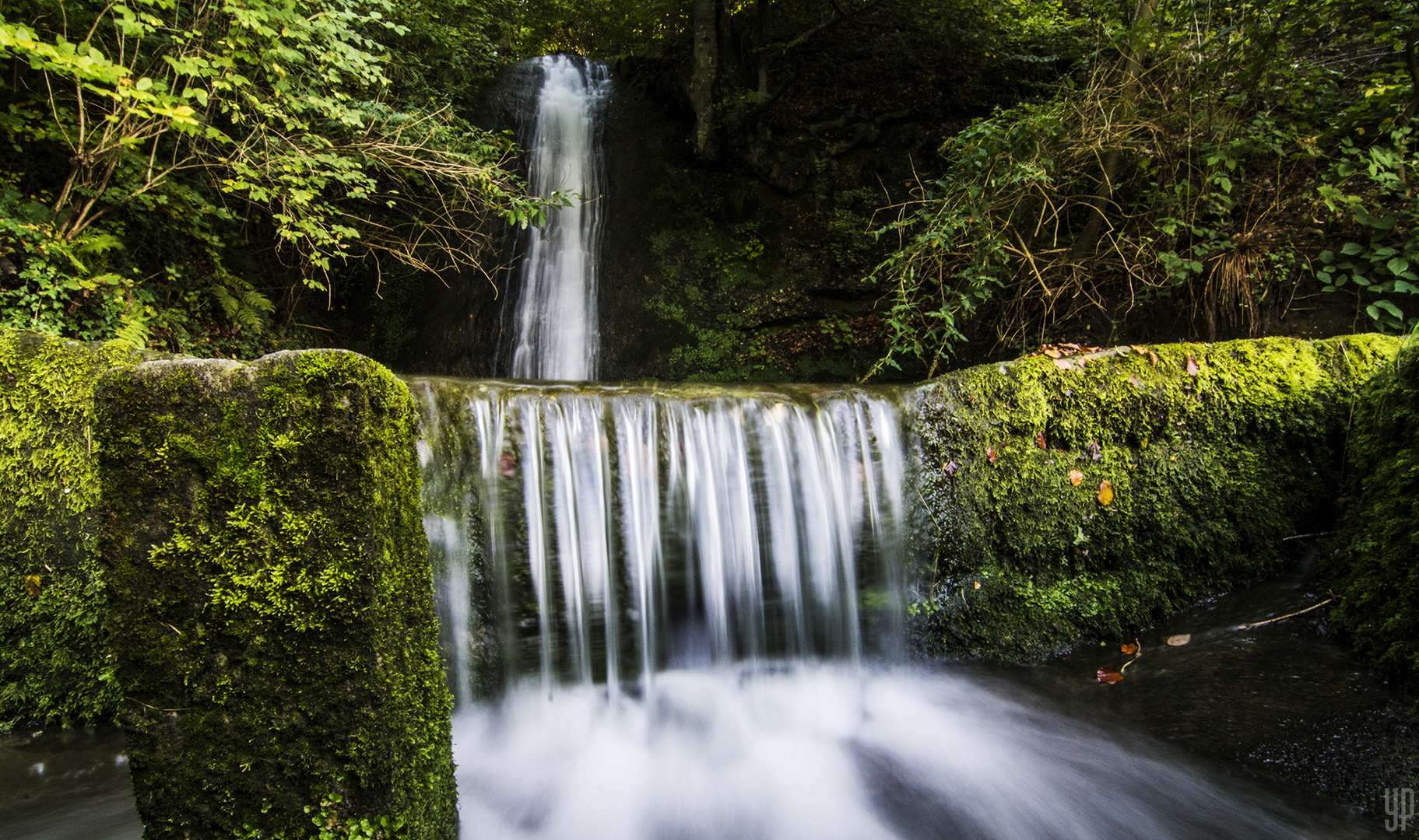 Der (Wasserfall) Bach im grünen