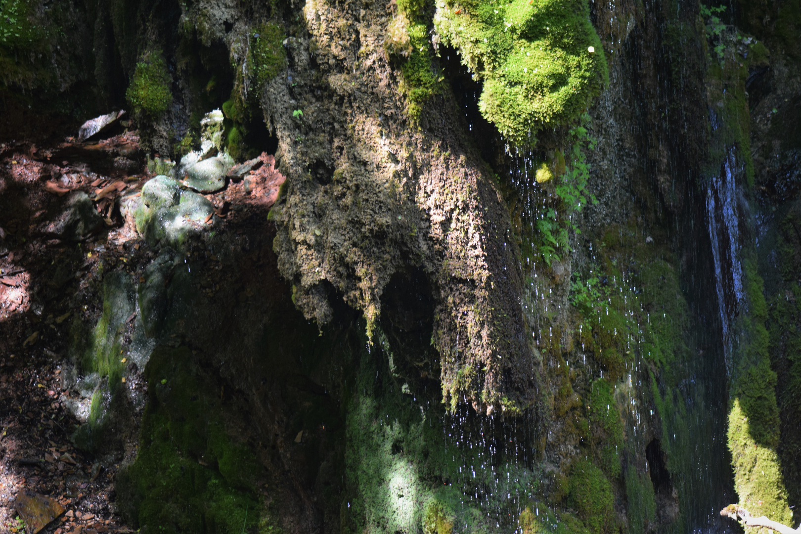 Der Wasserfall im alten Klosterwald .......