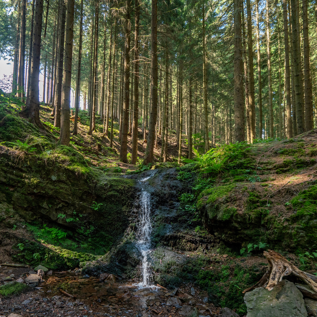 Der Wasserfall im Kühlen Grund