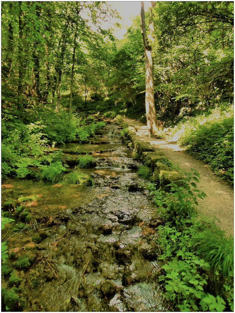 Der Wasserfall in Streitberg 