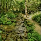 Der Wasserfall in Streitberg 