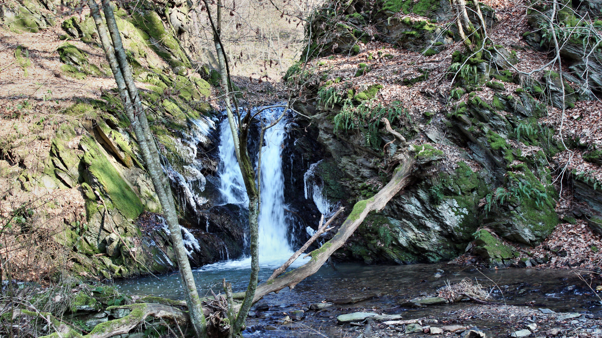 Der Wasserfall vom Schönborner Bach in den Vasenbach