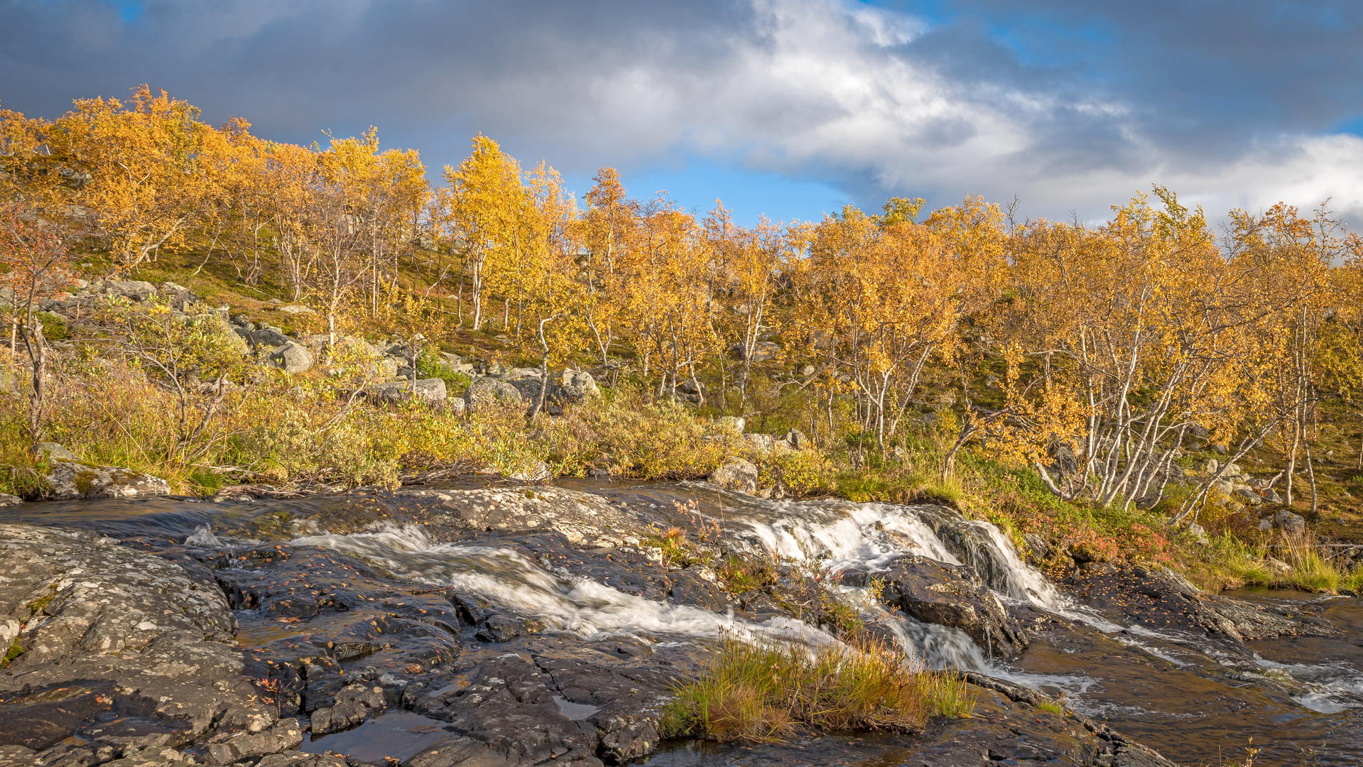 Der Wasserfall wird bald zum Eisfall