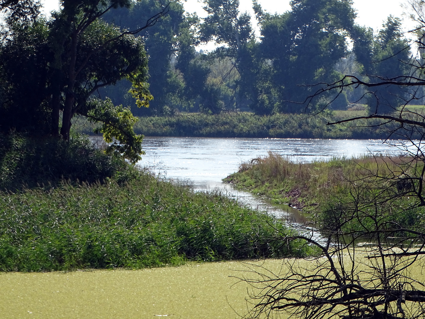 Der Wassergraben