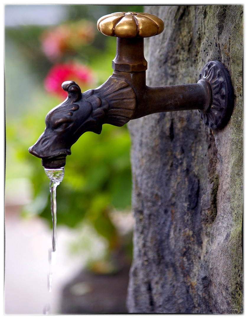 Der Wasserhahn...