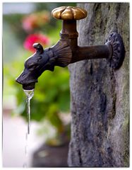 Der Wasserhahn...