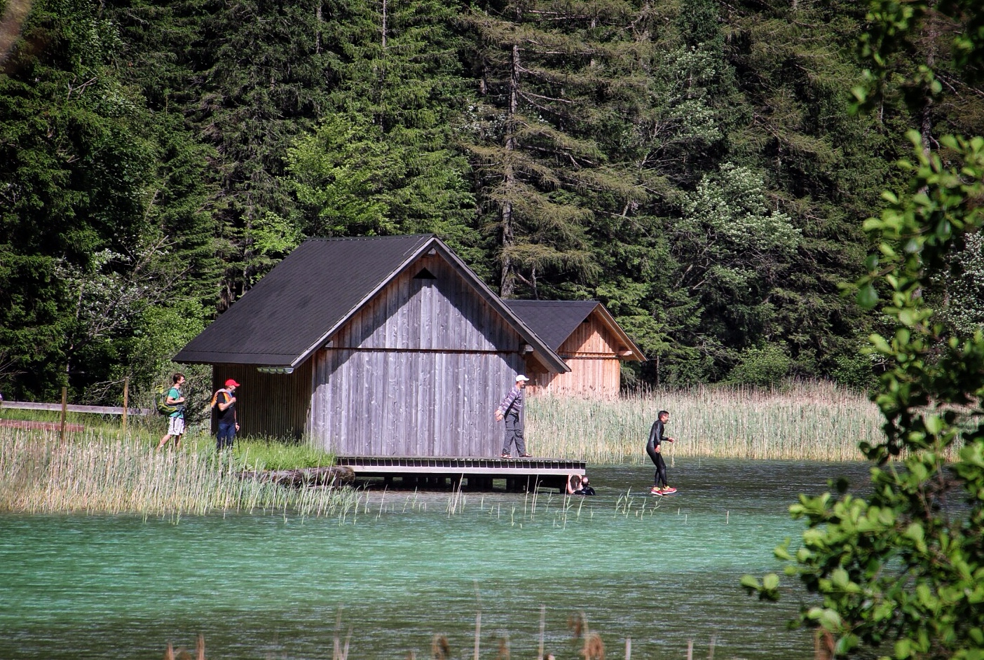 Der Wasserläufer